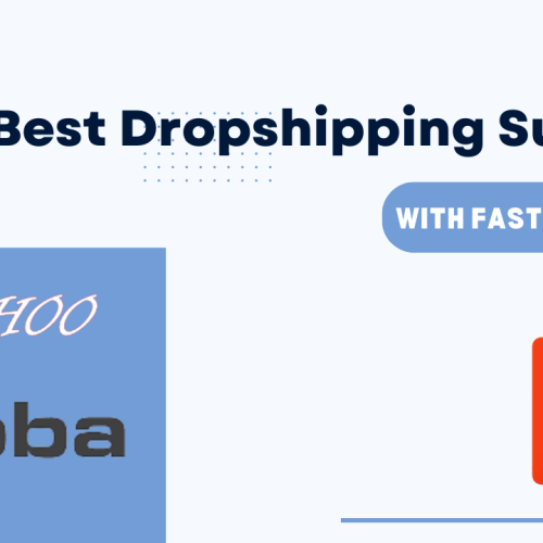 8 Best Dropshipping Supplier For Boost Business Easily